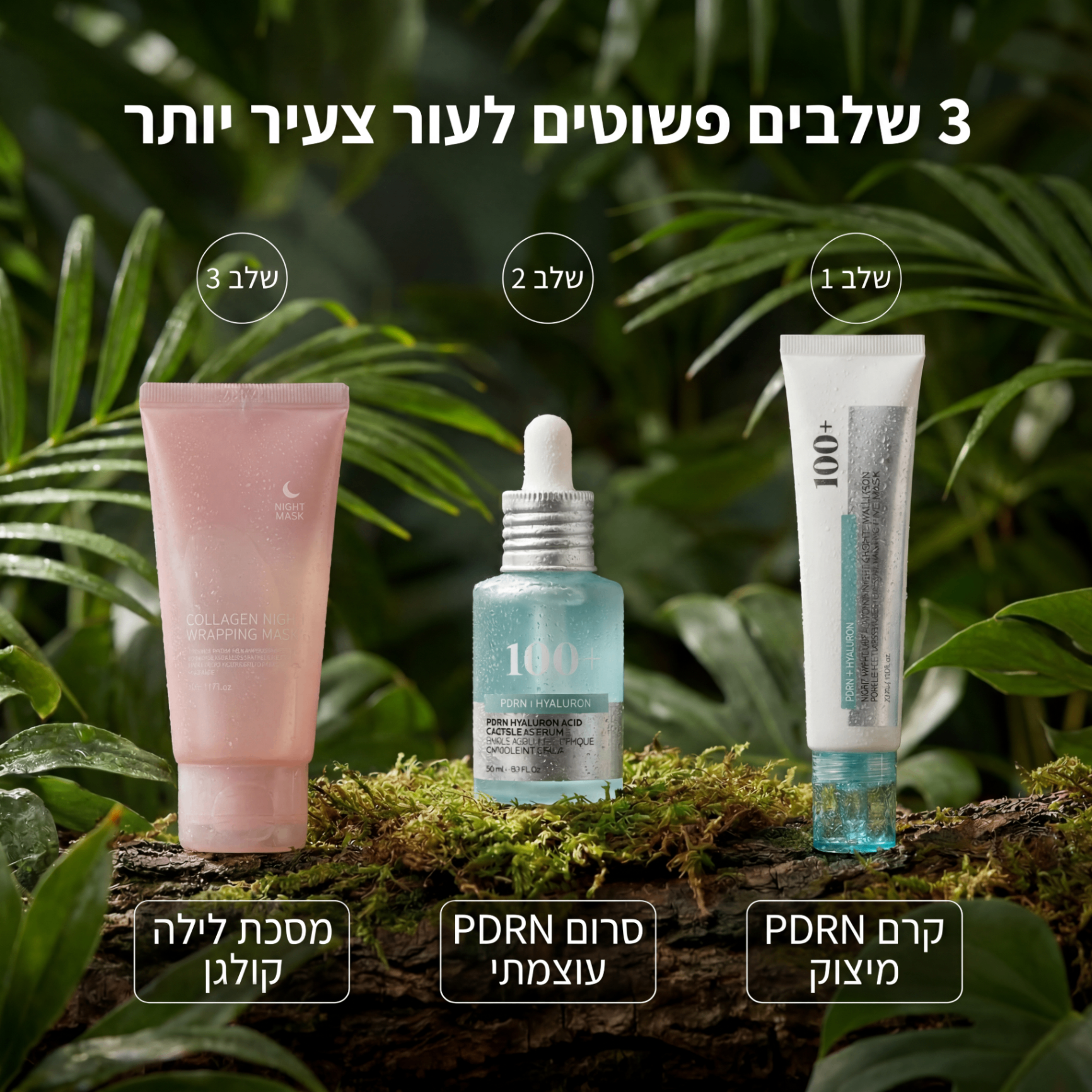 ערכת Seoul PDRN — שגרת 3 שלבים